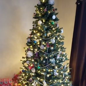 Meet your Posher, Phyllis